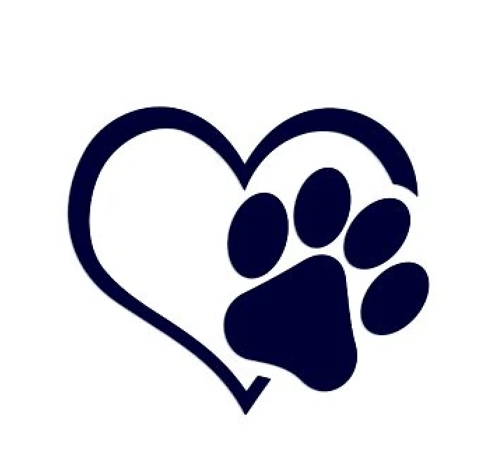 Snímek obrazovky 2025-12-08 v 19.17.16